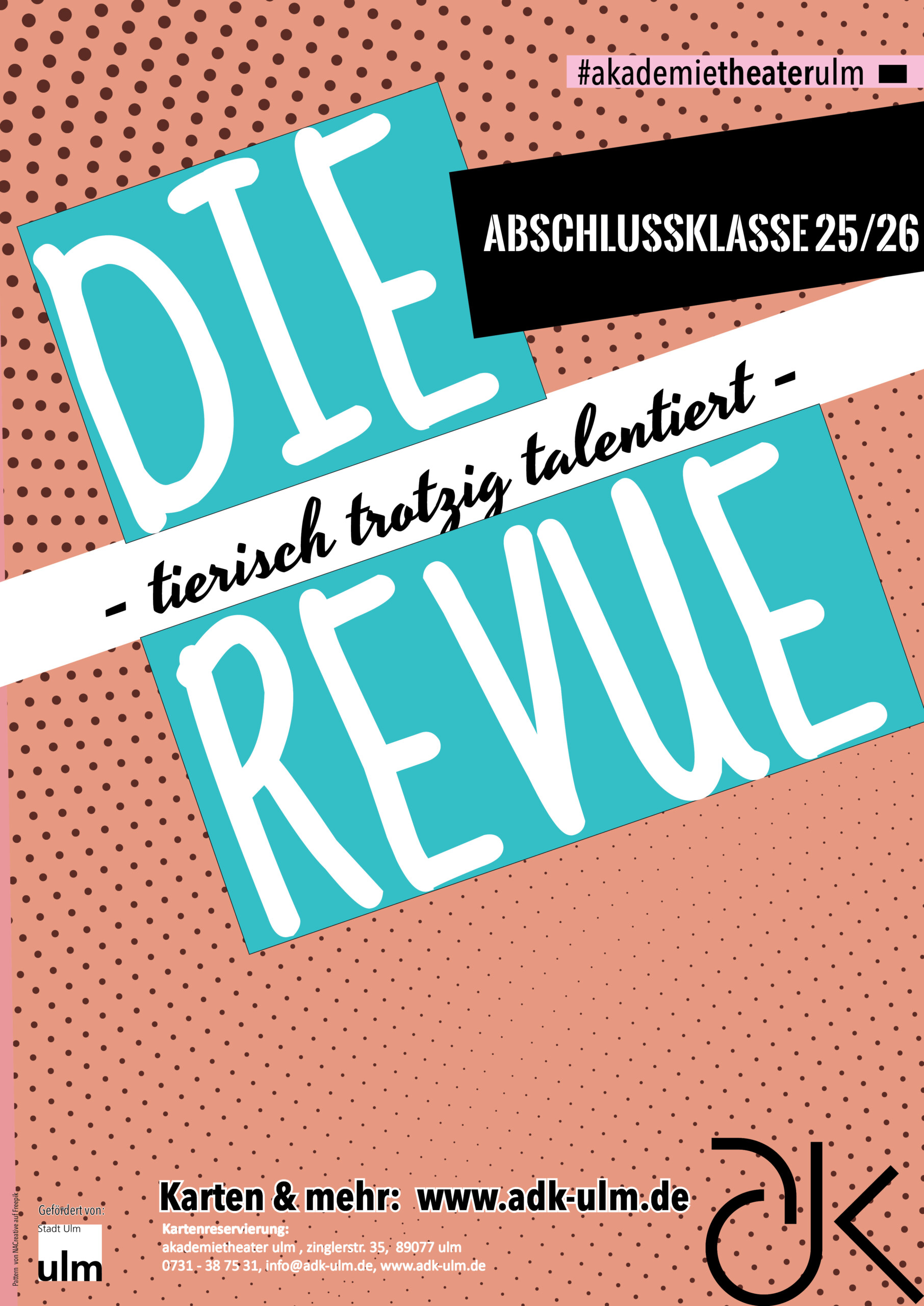 PREMIERE - DIE REVUE der Abschlussklasse 25/26
